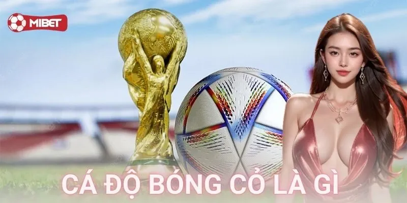 Giải nghĩa cá độ bóng cỏ là gì và lý do nó tồn tại
